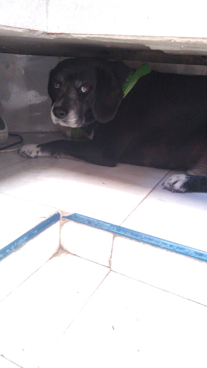 yaksha___'s tweet photo. #PrayForCan https://t.co/G3PhT1e1oO