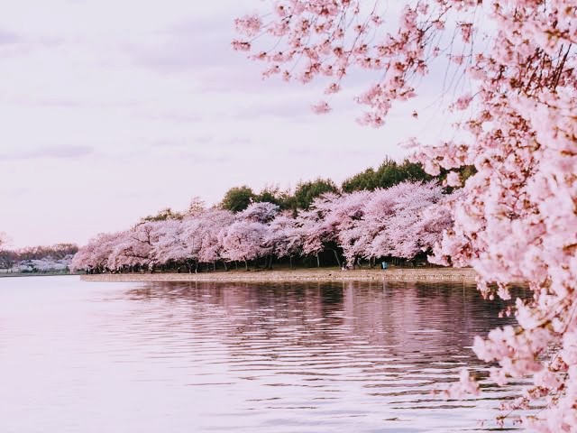 ♥ Auda Vargas ♥ tweet media