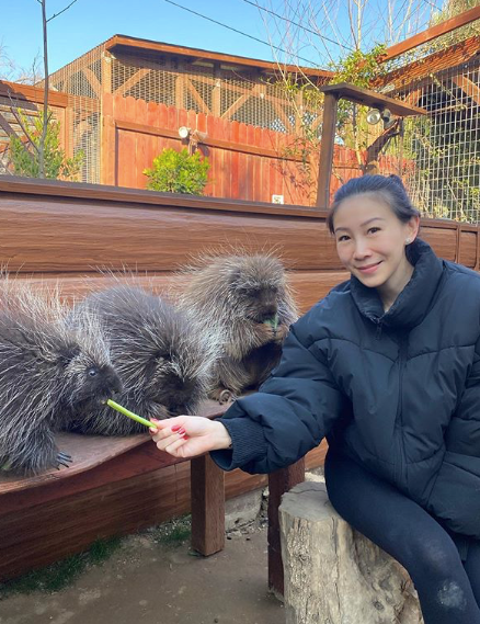 WLC_Wildlife's tweet photo. Did you know that the North American porcupine is covered in about 30,000 quills! It is a myth that these rodents can shoot their quills out but because the quills are so lightly attached, they do come off easily when a predator encounters them. 
photo by @angela__au #porcupines https://t.co/znbbJ0gzih
