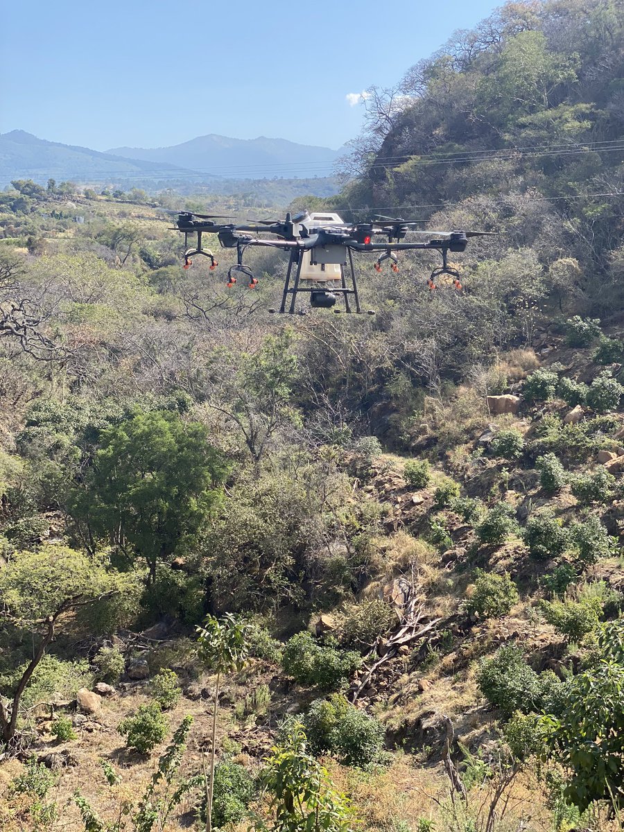 Agro_Watts's tweet photo. En el reino de los aguacates 🥑 haciendo aspersión de repelente orgánico contra insectos 🕷 con drones 🚁 #agriculturadeprecisión #DJI #agrast17 #ti16 #precisionag #smartfarming #aguacates #avocados https://t.co/hjcUHJ107i