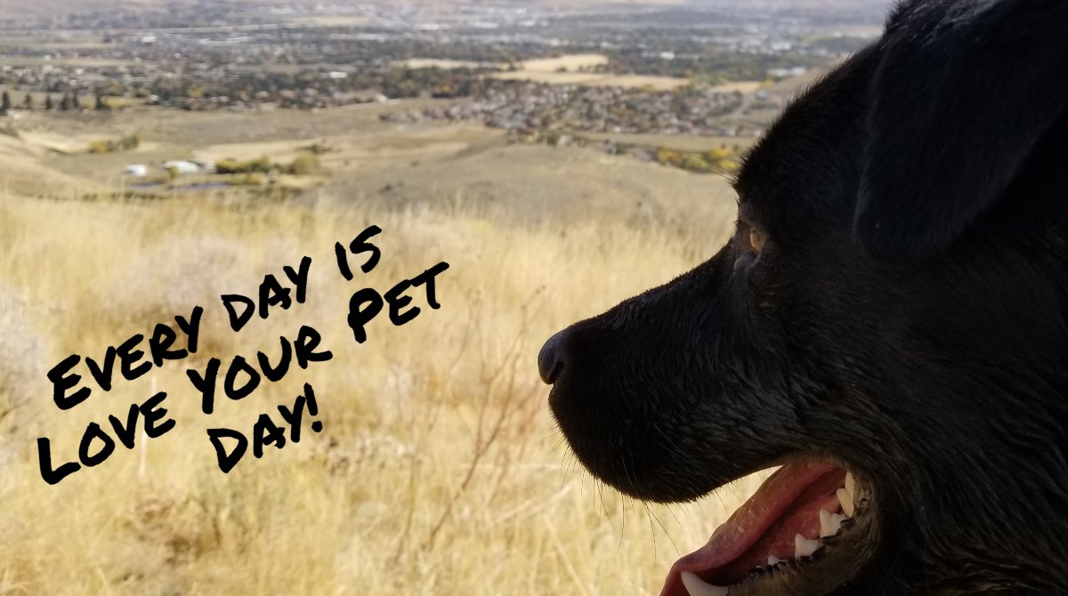 Carson Proud tweet media