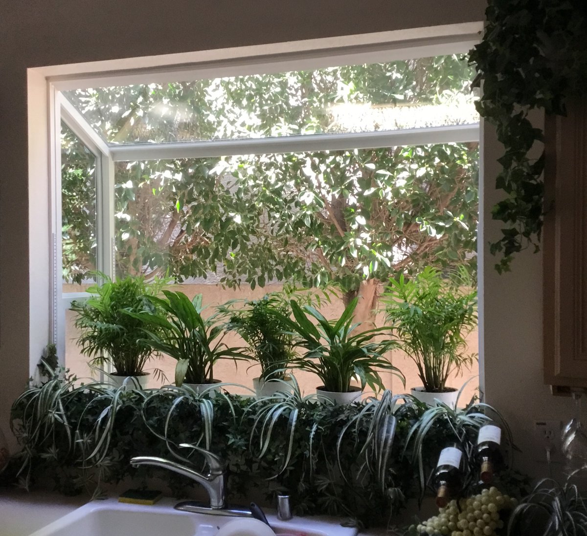 Affwindowsaz's tweet photo. Check out these stunning After Photos 📷✨We replaced this customer's old slider window with an amazing new #Simonton Garden Window! Give us a call for a FREE in-home estimate at: (480)-736-2822
https://t.co/ecWCHHlnRU
#windows #gardenwindows #energyefficiency #Garden https://t.co/NyruO6T1Sl