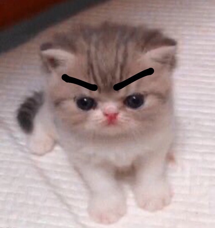 beatifulxdark's tweet image. Uno que se llama dalton