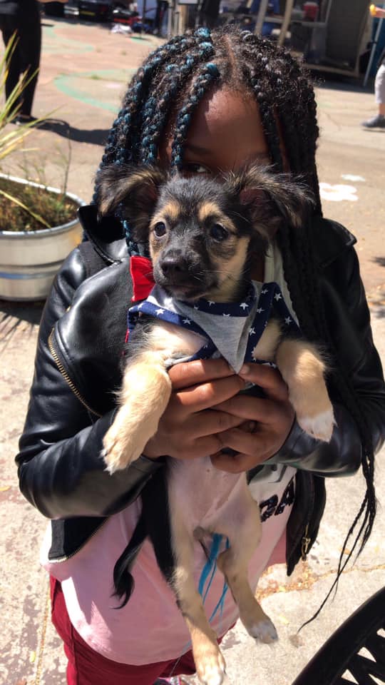 At our last mobile vaccine clinic we helped 200 animals and schedule 43 spay/neuter surgeries! Our mobile clinics provide care in areas where no other veterinary services are available ❤️