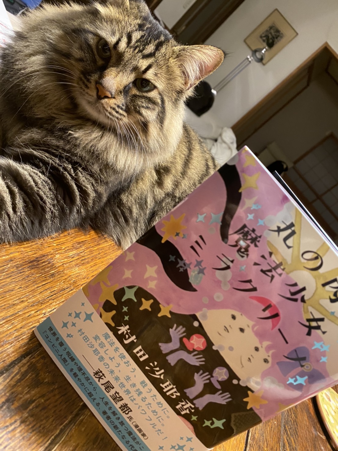 ◎2月新刊◎❖❖専用出品⑥(全20冊)❖❖ 2月29日発売 – търсене / X