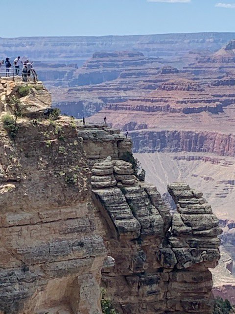 unnervedtravler's tweet photo. A few of my #FlashbackFridaz #NaturalWonders @carpediemeire @Adventuringgal @TravelBugsWorld @SuchetaDoshiMD & @Writing_Desire #GrandCanyon https://t.co/HYCzJjjeD7
