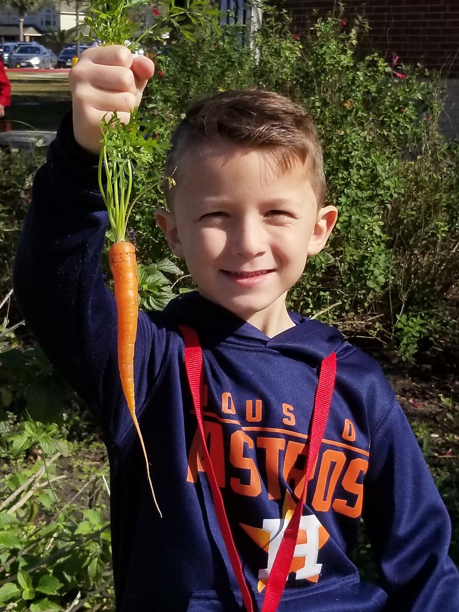 msvalconnelly's tweet photo. Garden Day was so much fun!!! Learning about potatoes, picking carrots and exploring our beautiful garden! @WarnerCFISD 🥕🥔🐛🌿 https://t.co/bSLhxMNqk5