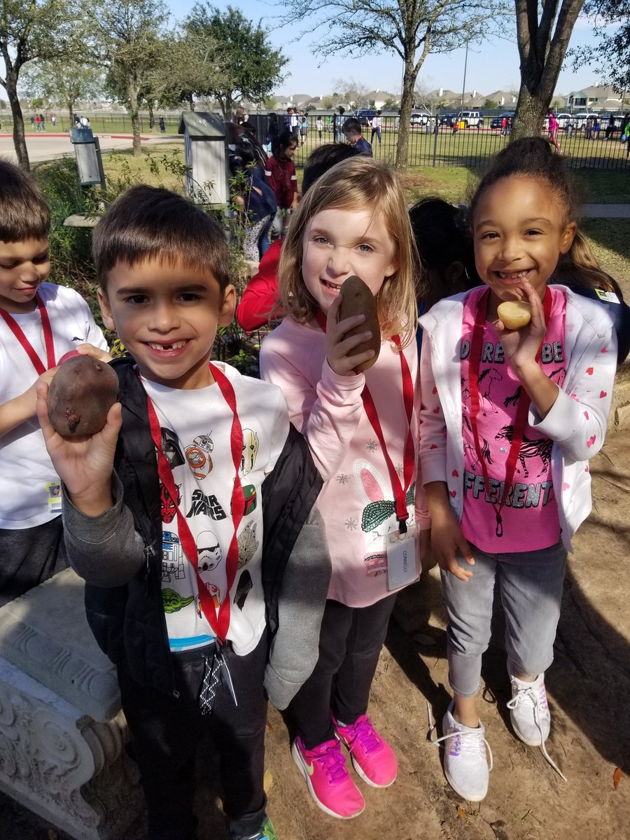 msvalconnelly's tweet photo. Garden Day was so much fun!!! Learning about potatoes, picking carrots and exploring our beautiful garden! @WarnerCFISD 🥕🥔🐛🌿 https://t.co/bSLhxMNqk5