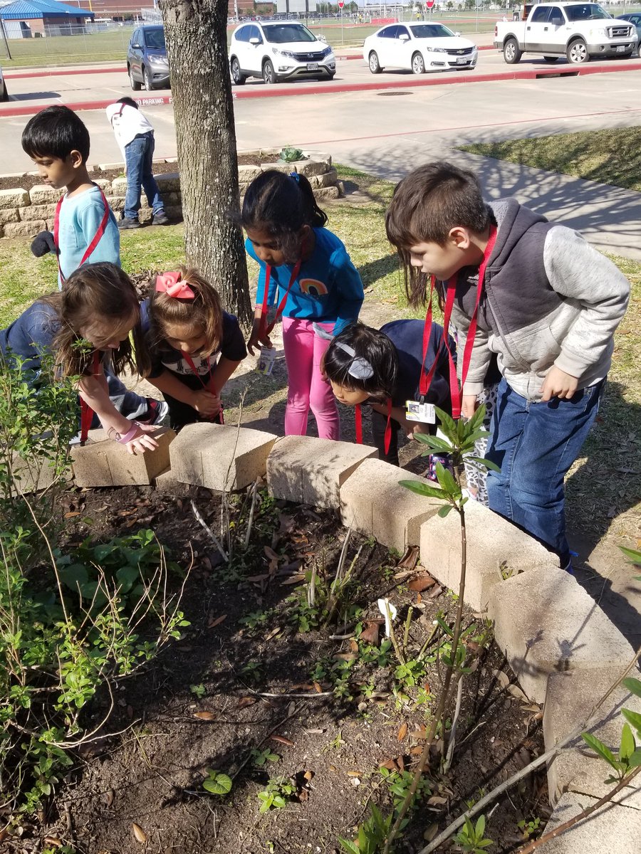 Garden Day was so much fun!!! Learning about potatoes, picking carrots and exploring our beautiful garden! <a href="/WarnerCFISD/">Warner Elementary</a> 🥕🥔🐛🌿
