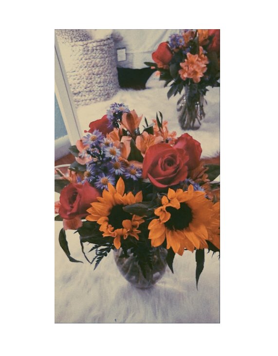sweetsvet_13's tweet photo. When someone comes into your life and everything just becomes better 💕🌻 https://t.co/ERAKMxSCBZ