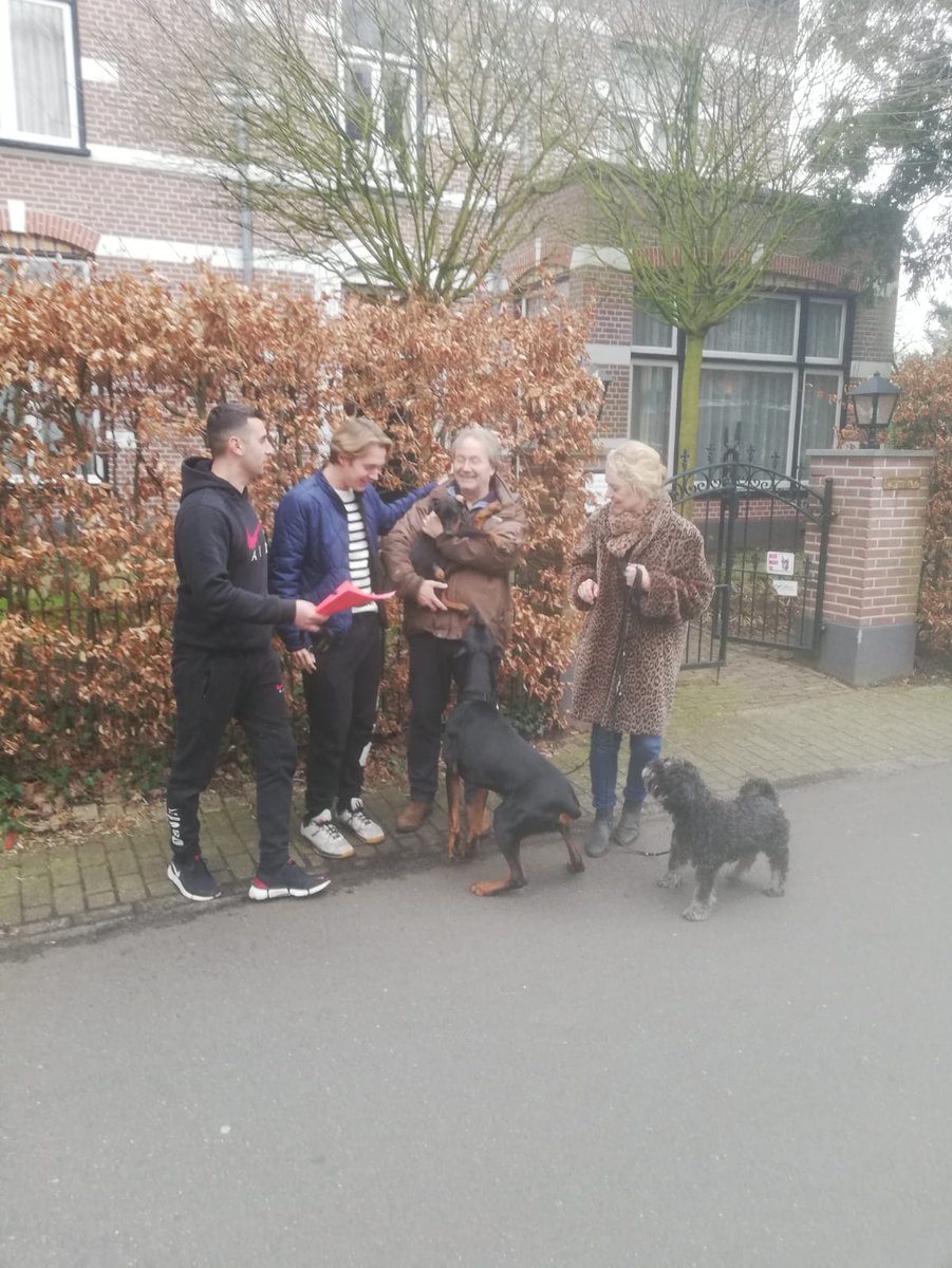 UKDobermans's tweet photo. More https://t.co/4dd36vOMvS puppies going to their new homes in Belgium and Holland. We still have puppies available so call us today to join our happy owners club 👍🏻 https://t.co/vSUdmnN8T7