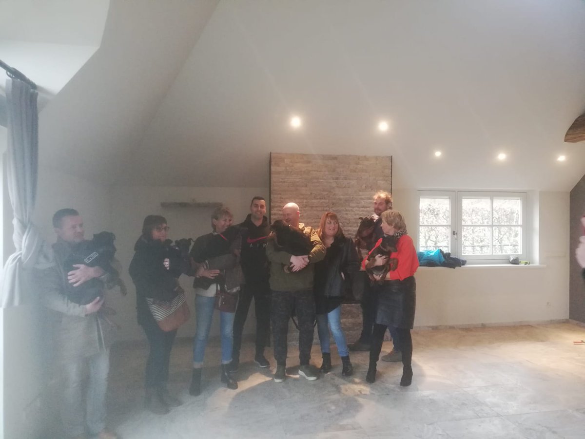 UKDobermans's tweet photo. More https://t.co/4dd36vOMvS puppies going to their new homes in Belgium and Holland. We still have puppies available so call us today to join our happy owners club 👍🏻 https://t.co/vSUdmnN8T7