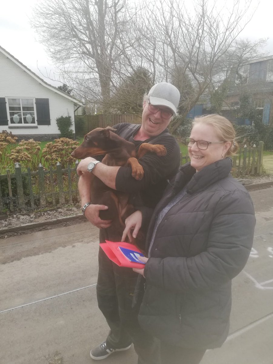 UKDobermans's tweet photo. More https://t.co/4dd36vOMvS puppies going to their new homes in Belgium and Holland. We still have puppies available so call us today to join our happy owners club 👍🏻 https://t.co/vSUdmnN8T7
