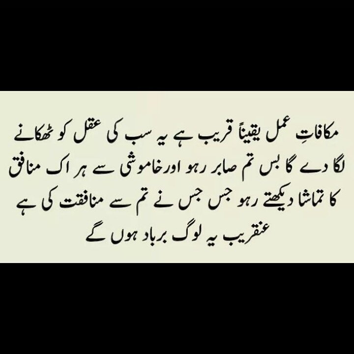 SyedaZainb's tweet photo. 💯 https://t.co/K43qozhvr5