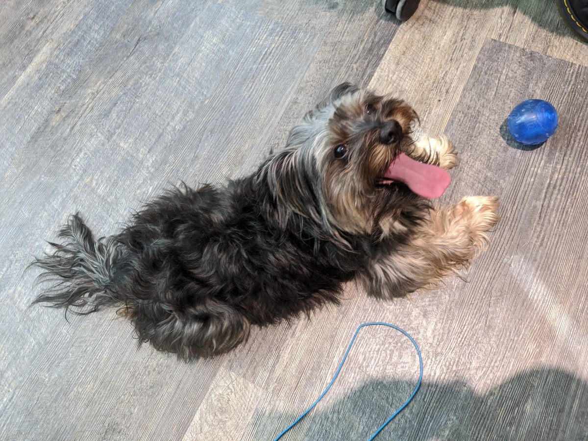 SPLMunch's tweet image. Happy Friday 🙂