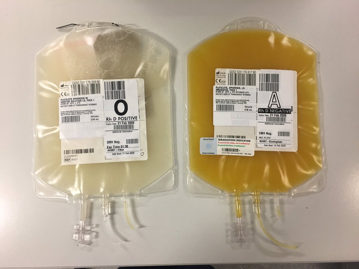 Look at the difference in colour of these two platelet units… there’s an important reason why these two are so different but platelets do come in different colours, though they should be a variation of “straw”. Some will even look slightly green!  #blooducation