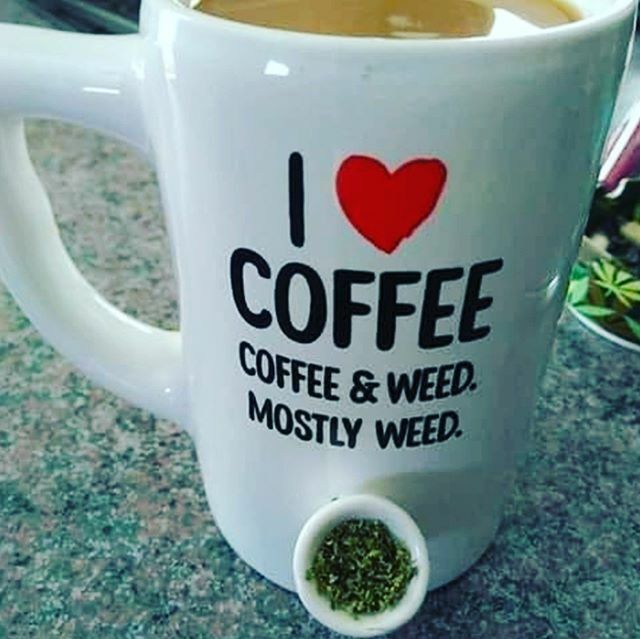 WEED_GIRLS_MOTO's tweet photo. https://t.co/0cQRUrgAZ0 https://t.co/H111wYwc2y