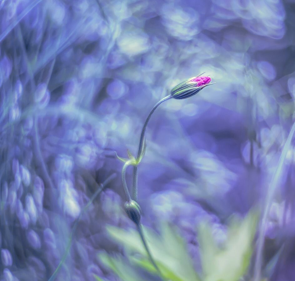 PinarAkal1's tweet photo. We rarely hear
the inward Music,
but we are all dancing
to it nevertheless.

#Rumi https://t.co/pxh5nlsCPL