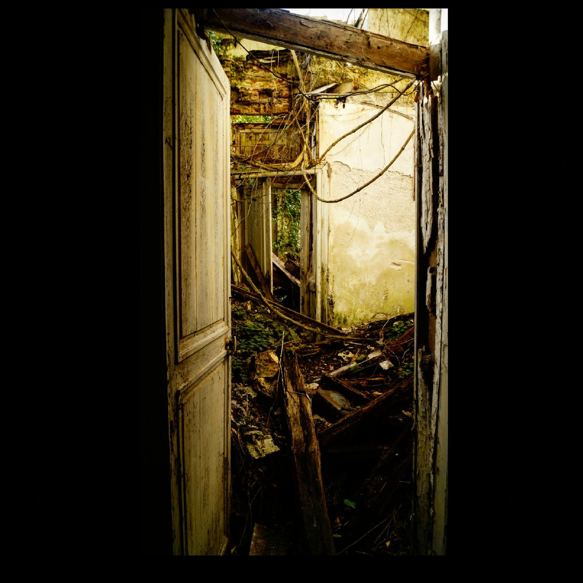 steph_alvarez_'s tweet photo. #urbex #urbexfrance #sitios_abandonados
#urbexdecay #etikurbex #savethedecay #urbanexplorer #decay_explorer #urbexworld
#exploring #urbanplaces #abandonedplaces #decayingplaces #all_is_abandoned #forgotten #urbexcaptures #lost #lugaresabandonados #exploracionurbana #urbexphoto https://t.co/PR4SOauRGS