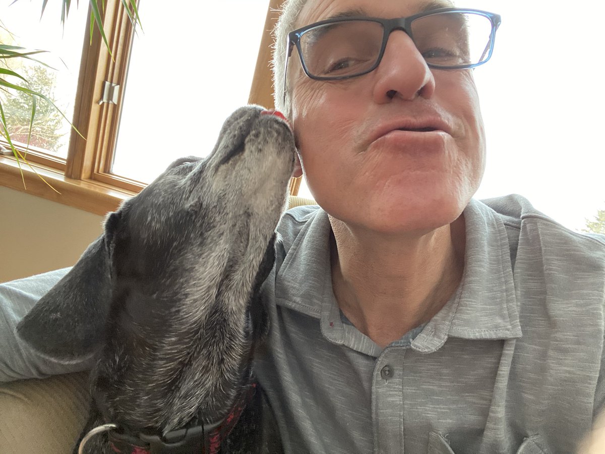 fshinchip's tweet photo. Being separated from my dog this week has me realize just how lazy I’ve become when dropping food on the floor. #pickitup #wipeitup #MobileOnDemandFloorCleaner https://t.co/SquDvcj2HO