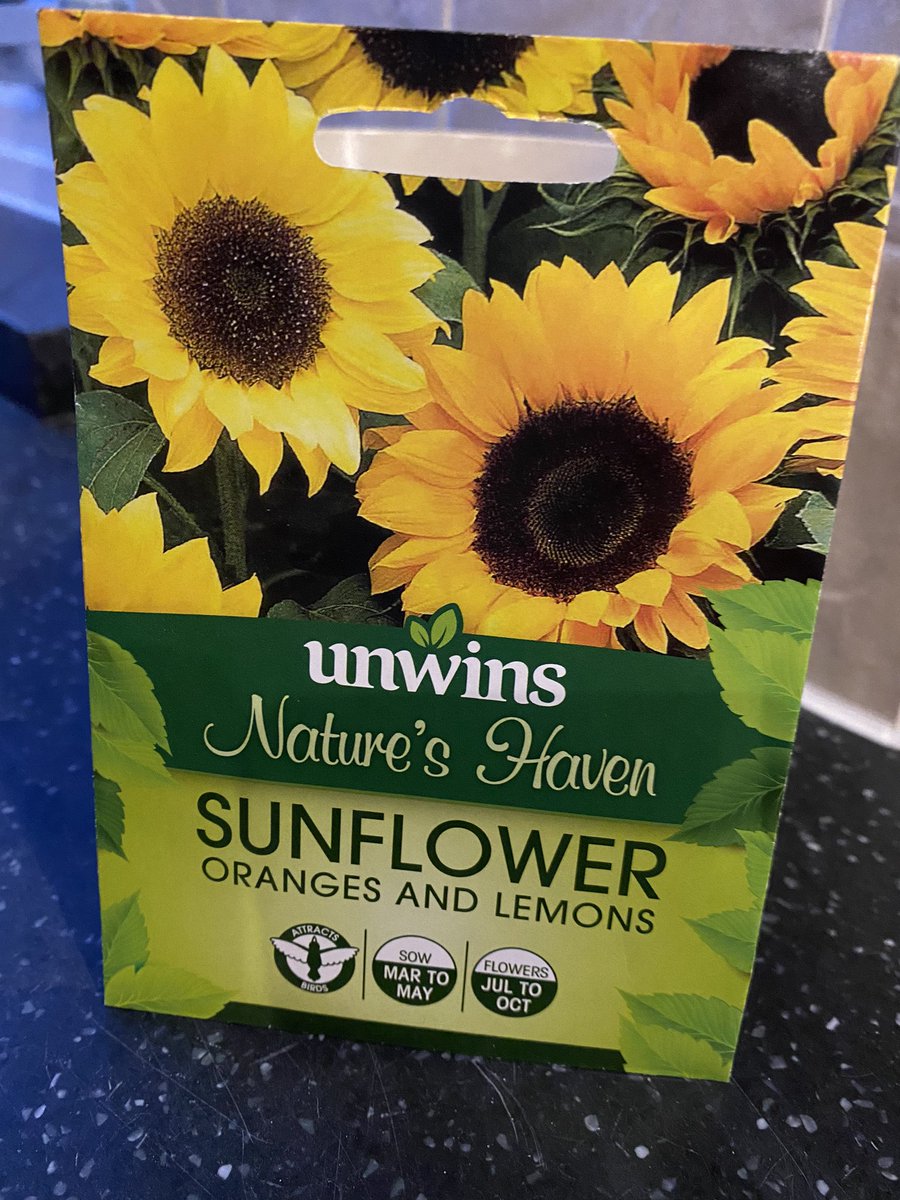 louloustevo's tweet photo. Not green fingered at all but planting sunflowers #forlexi #lexisduedate #stillbirth #letsreducestillbirth #stillbirthresearch
Thinking of you all today 🌻 @MurrayandMe
@Tommys_baby https://t.co/EcwL0doxVc