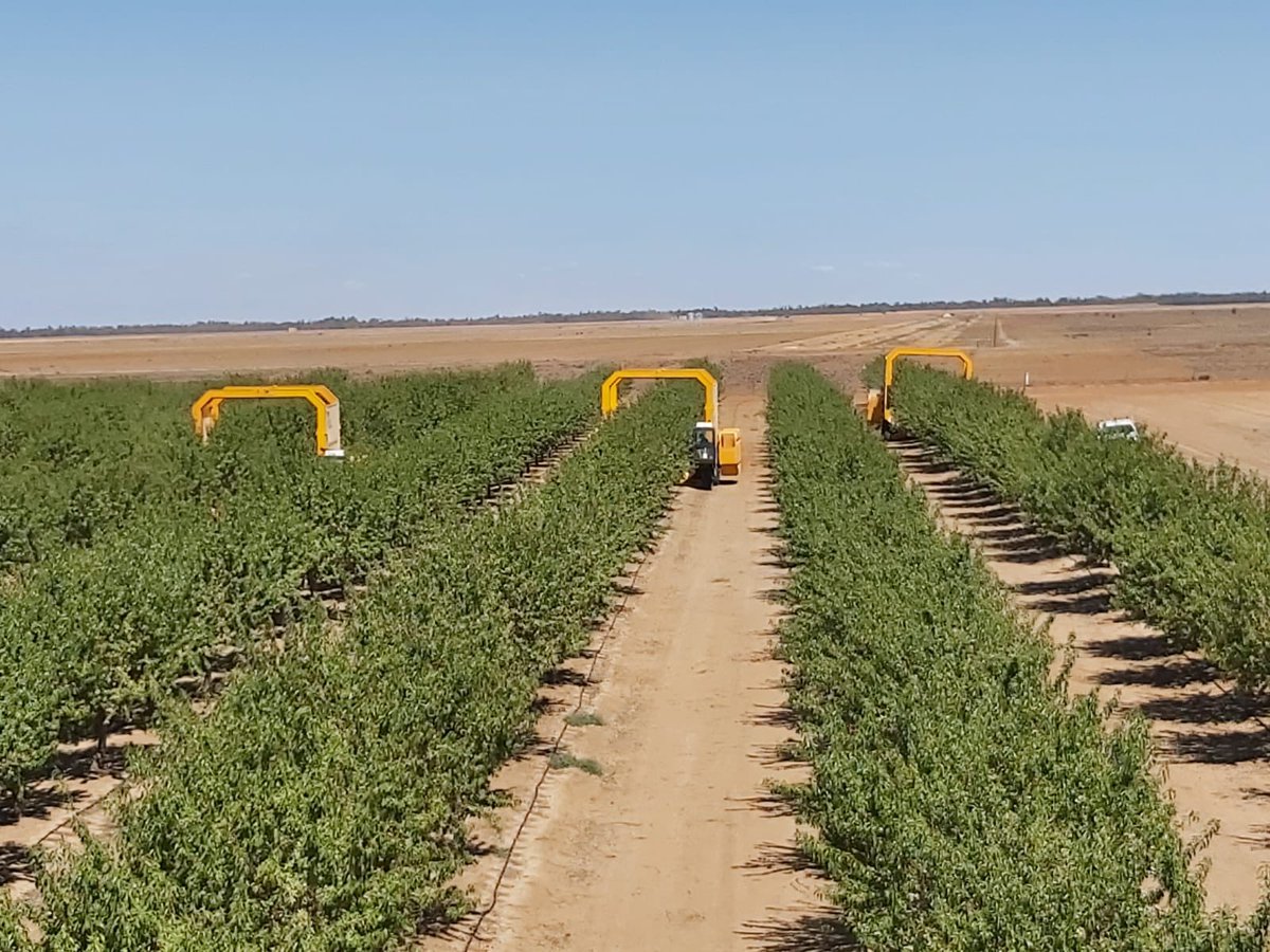 Cosechando en Australia