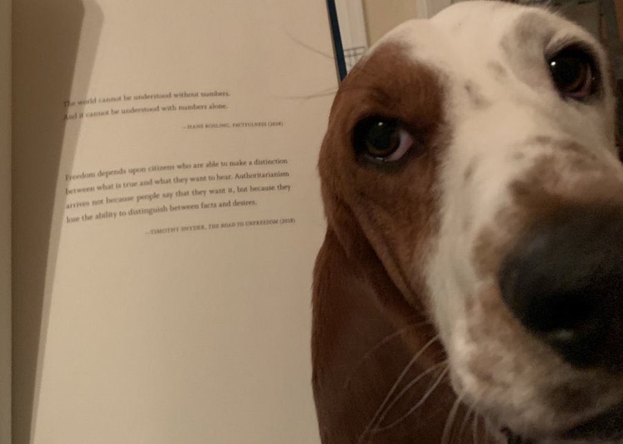 DocKevinElder's tweet photo. @DataRemixed It will be on my next book order, I have a backlog of reviews to do for @AlbertoCairo @visualisingdata @infowetrust and @TheRialMichelle But I highly recommend you buy and read this book too! #BenAppreciationDay #AvoidingDataPitfalls https://t.co/8s2x0d5Pjr