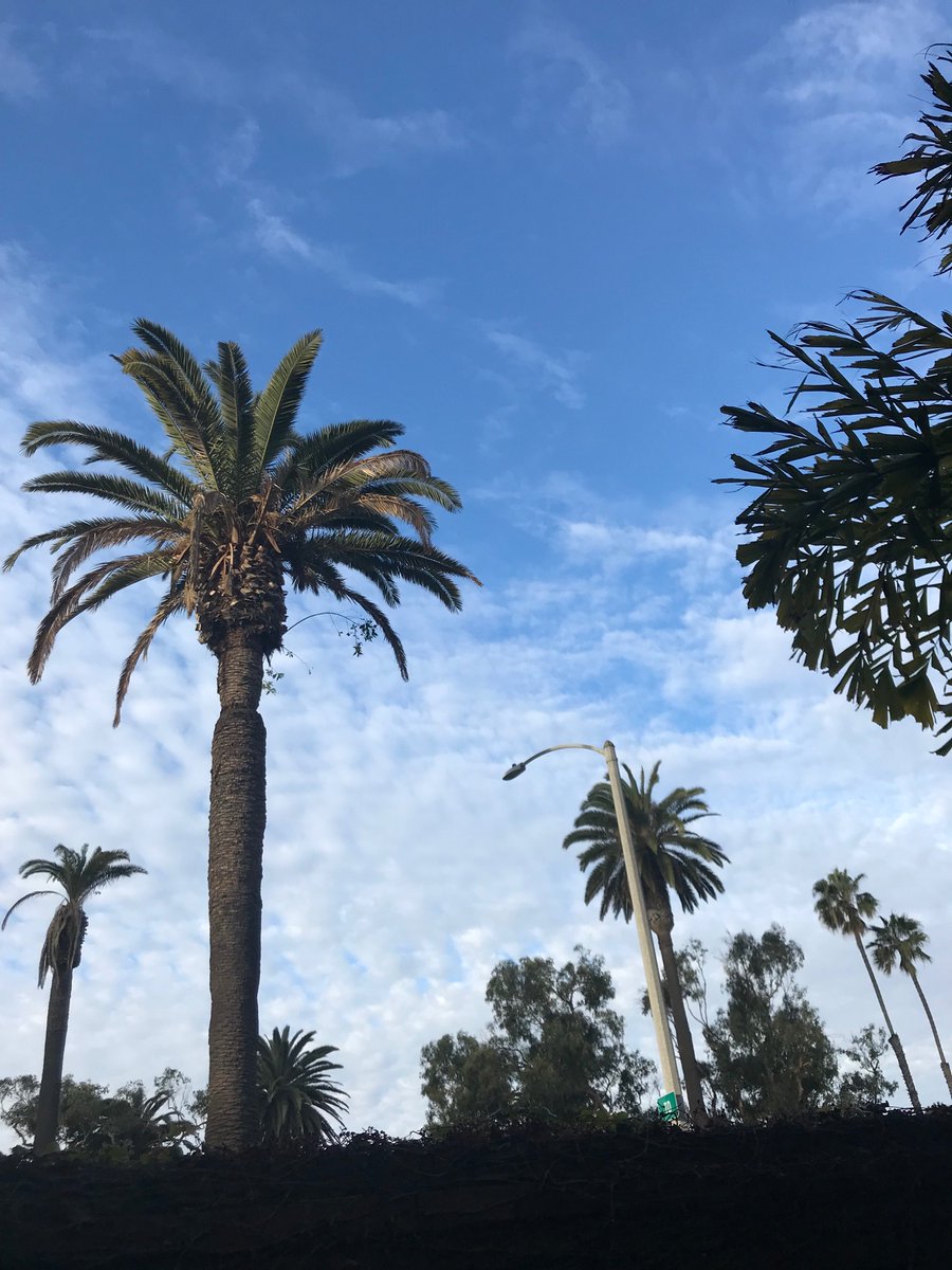 I.DagogoJackMD (@ibiayimd) on Twitter photo #7PhotosOfMyLife challenged by
<a href="/LeciaSequist/">Lecia Sequist, MD, MPH</a>
no comments no people. Today is day 1 and I challenge
@BeccaHeistMD #7PhotosOfMyLife challenged by
<a href="/LeciaSequist/">Lecia Sequist, MD, MPH</a>
no comments no people. Today is day 1 and I challenge
@BeccaHeistMD
