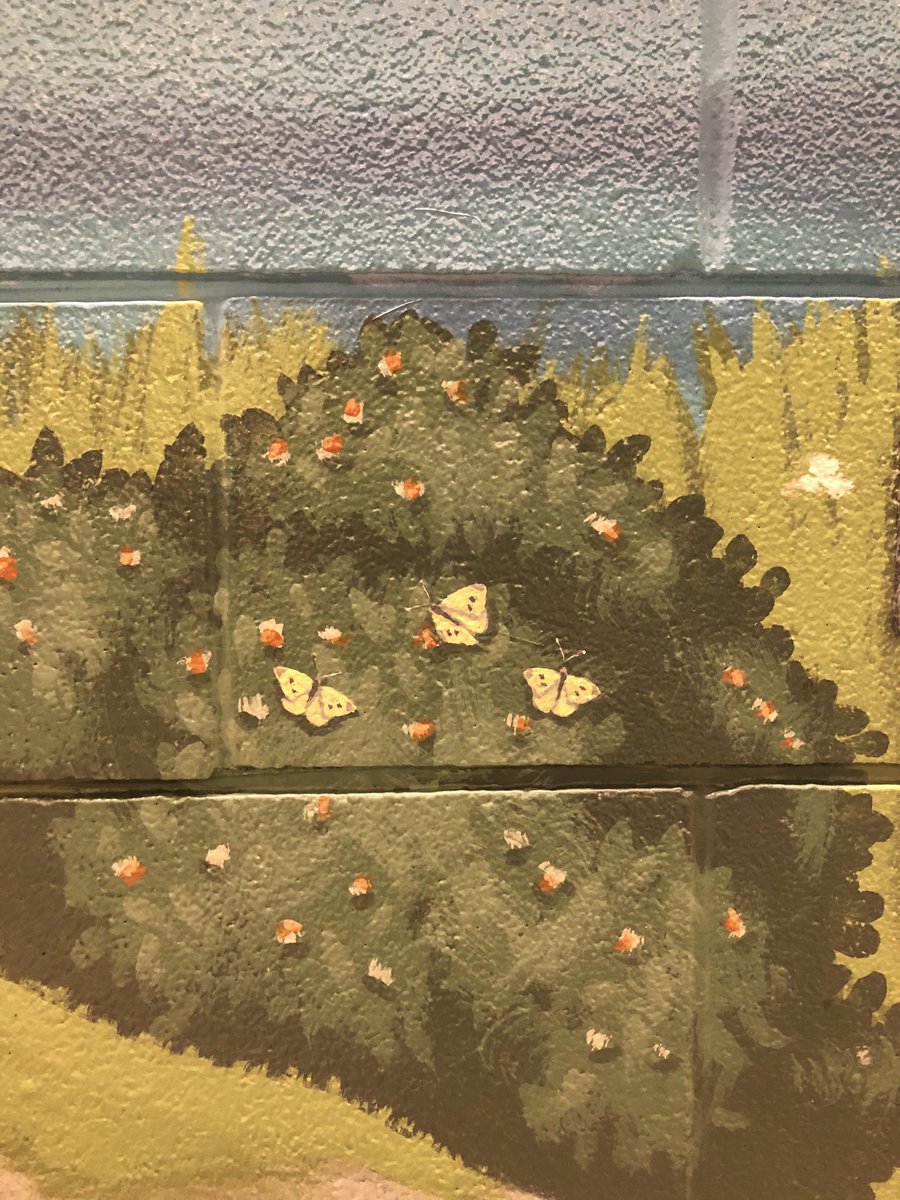 ajblake05's tweet photo. Our department has a new mural near the office (featuring study organisms). Look what I was able to sneak in! #Piers #rapae
Credit to the artist Jason Craft.
https://t.co/zUb3hwHUzV https://t.co/RWCwdxbbeH
