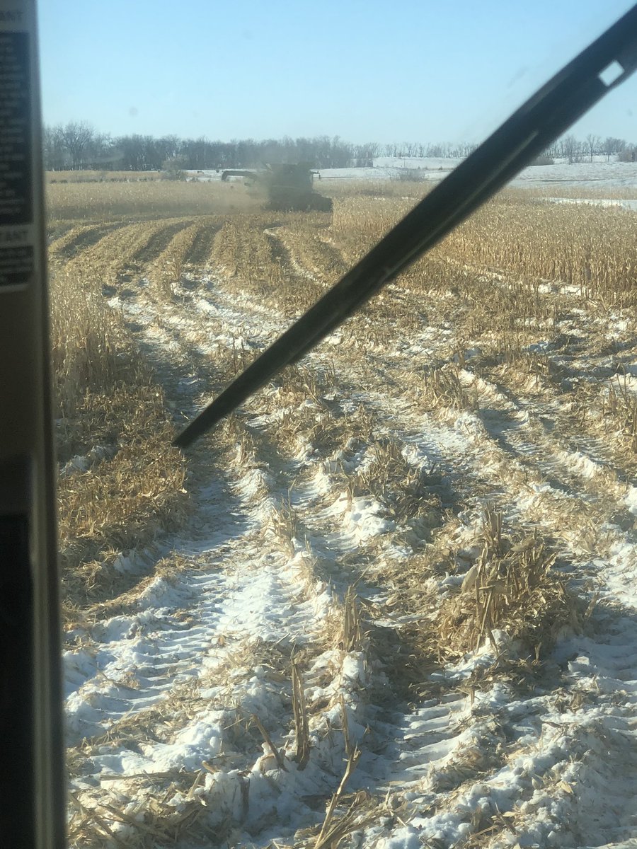 TedBrandt8's tweet photo. Enjoying the beautiful February afternoon  #harvest19 or #harvest20 🤔🏝 https://t.co/hJWtp2MBQe