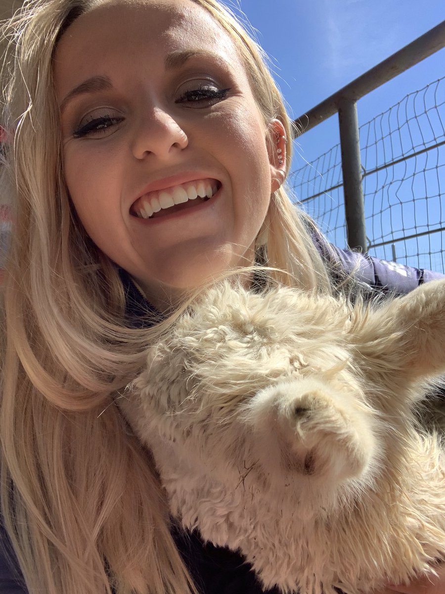 abbysailer's tweet photo. Baby girl wanted some cuddles today https://t.co/RuIUgONAeD