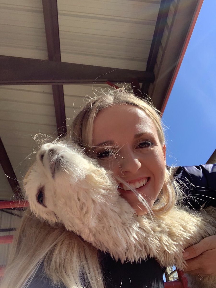 abbysailer's tweet photo. Baby girl wanted some cuddles today https://t.co/RuIUgONAeD