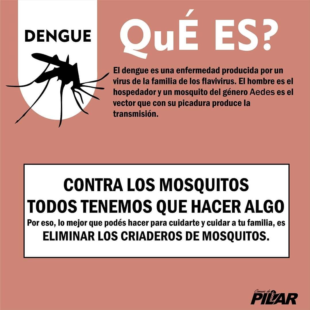 COMUNAdePILARsf's tweet photo. #dengue
#prevencion https://t.co/2etZoMjED7