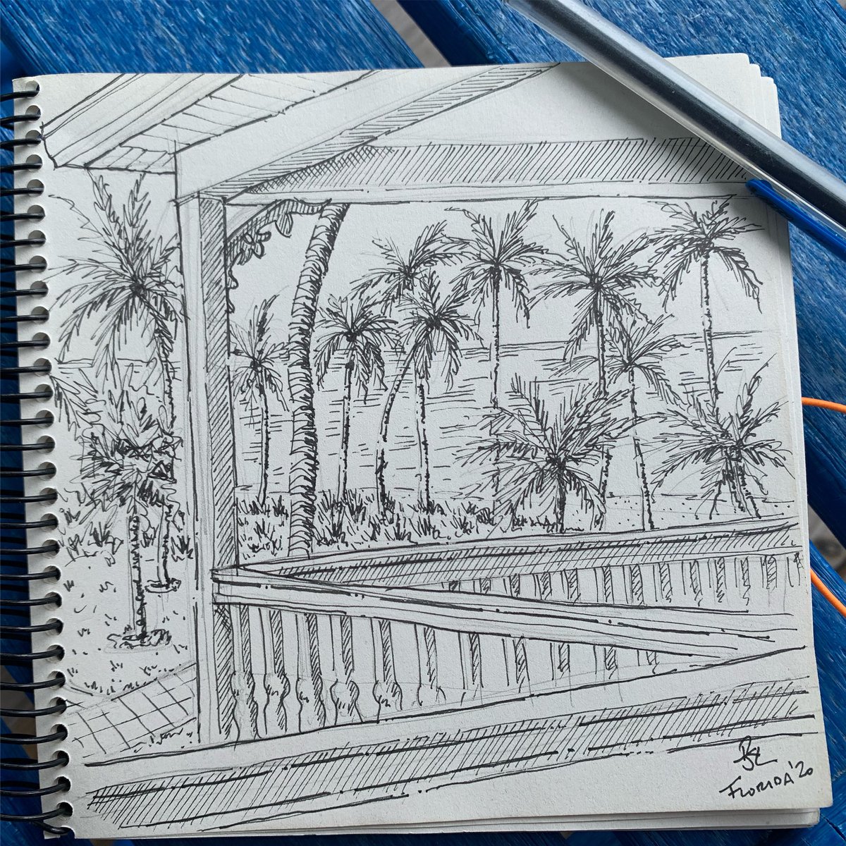RogerLomas's tweet image. A few sketches from the Florida Keys...