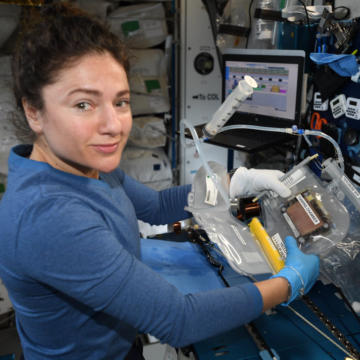 The OsteoOmics2 experiment investigates the cellular mechanism of bone loss – vital knowledge for future space explorers and for diseases like osteoporosis or bed-ridden patients on Earth. First I thaw the frozen bone cells, then <a href="/AstroDrewMorgan/">Colonel Andrew “Drew” Morgan, Army Astronaut</a> changes their growth media.