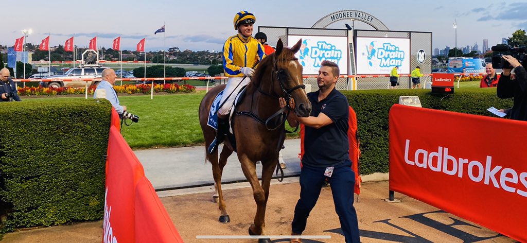 MudgesWorld's tweet photo. This trainer uses Bombers Bits, does yours?
#winnersaregrinners
π» Congrats to the connections, well done Charlotte
#CharlottesOnFire
#citywinner
#bombersbits
#happyhorseswinraces https://t.co/jABclsfl90