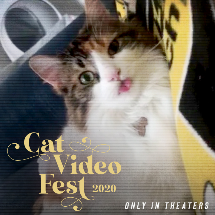 cafilminstitute's tweet photo. CAT VIDEO FEST IS COMING!
Lots of fuzzy fun this weekend at #SmithRafael, with four floofy screenings to choose from 2/22 & 2/23, and all benefitting @MarinHumane!
Tix & info: https://t.co/0TAsG0n5X0
#cat #catlife #cats #catlovers #catvideofest #catsofinstagram https://t.co/PRJQvUAJox