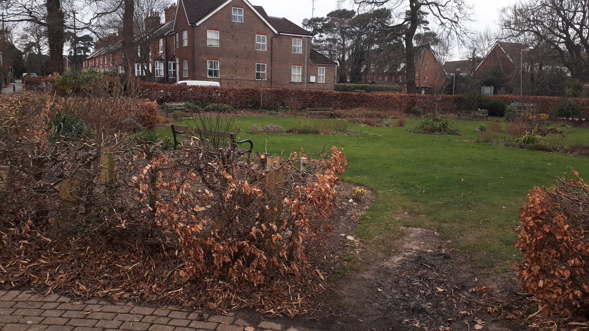 eginbloom's tweet photo. The newly cut hedges at the Compass Garden at Mount Noddy really opens up the space - looking great and will make it more social and a safer place. If you're interested in joining our It's Your Neighborhood volunteer team, please get in touch. https://t.co/GFLsLnAdm4