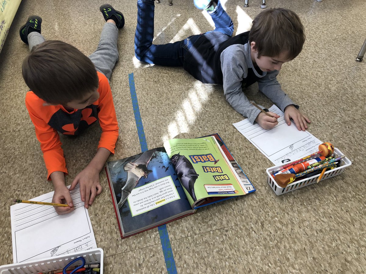 Laurie Collacchi tweet media