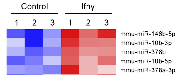 AJPCellPhys's tweet photo. #Sirtuin-6 protects intestinal #epithelial cells against inflammatory injury. This study by Tan et al reports on #interferon gamma inhibition of Sirtuin-6 expression via a miR-92b-mediated mechanism. 
https://t.co/xTaABK8hxO
#PublishedinAJPCell
DOI: 10.1152/ajpcell.00335.2019 https://t.co/jwa8GGMi0A