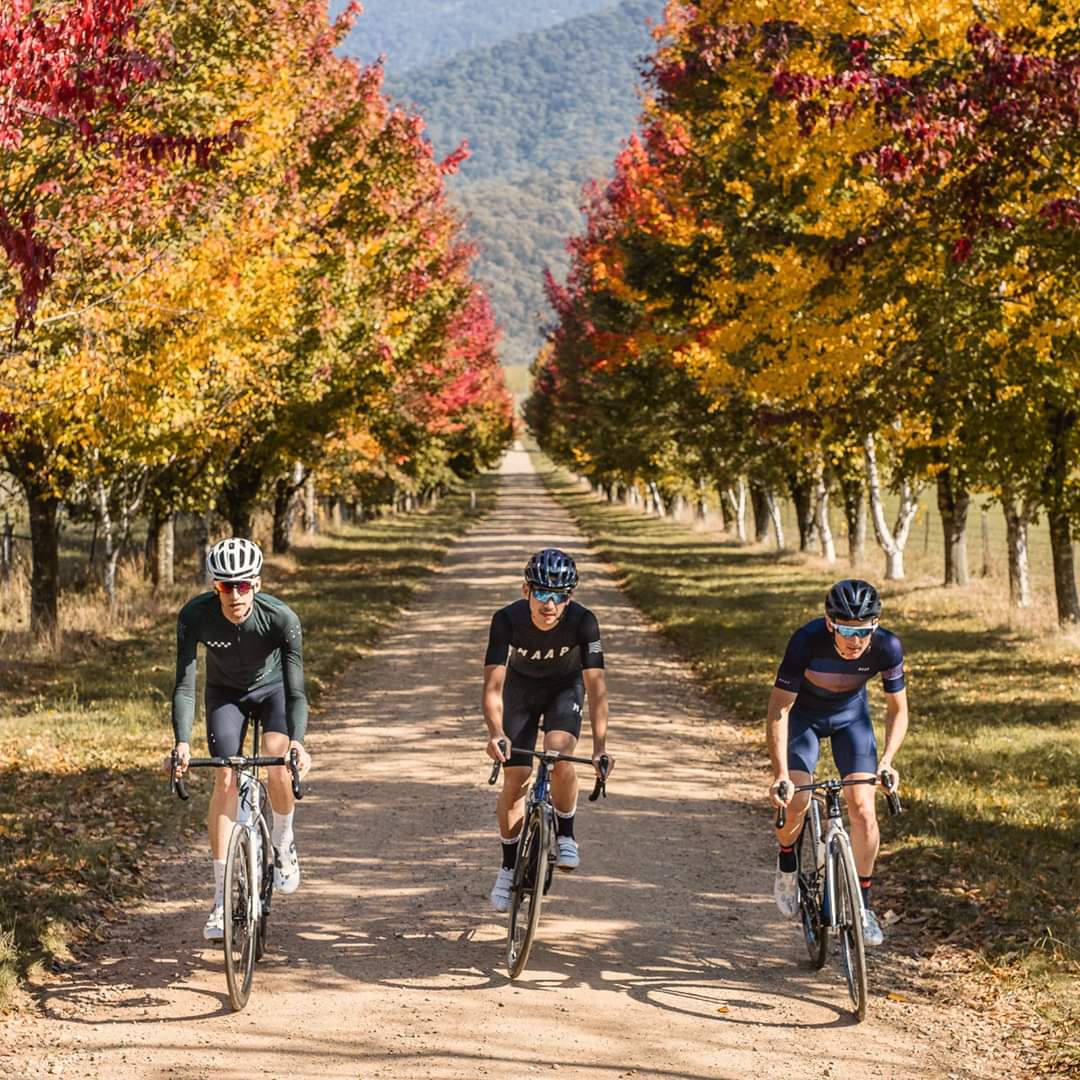 RailTrailsAus's tweet photo. Autumn in Victoria's High Country. A beautiful time to ride a #railtrail
#rollonback #ride2recover #bushfirerecovery @tourdevines @M2MTweet @greatvictorian https://t.co/lALSSLcYfv