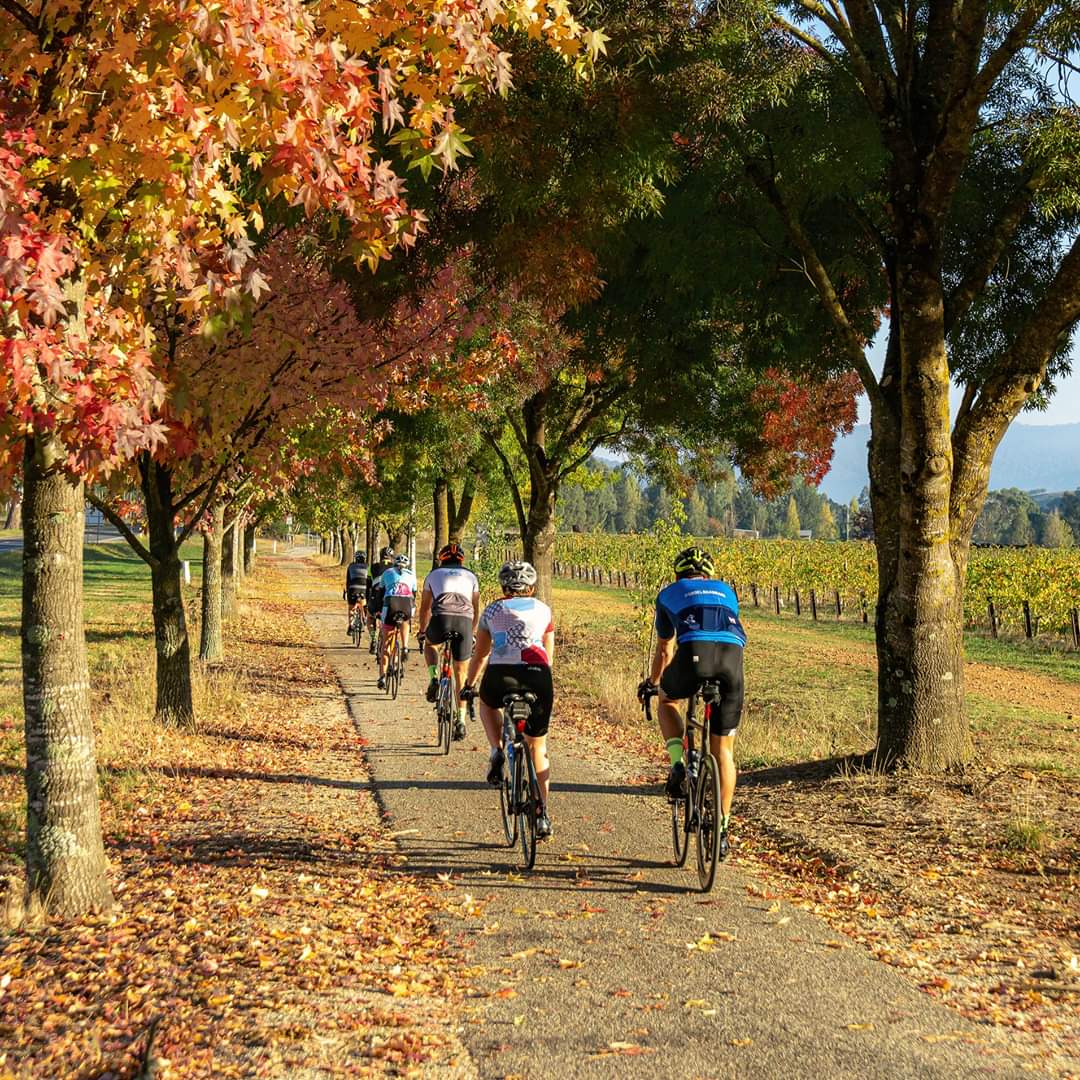 RailTrailsAus's tweet photo. Autumn in Victoria's High Country. A beautiful time to ride a #railtrail
#rollonback #ride2recover #bushfirerecovery @tourdevines @M2MTweet @greatvictorian https://t.co/lALSSLcYfv