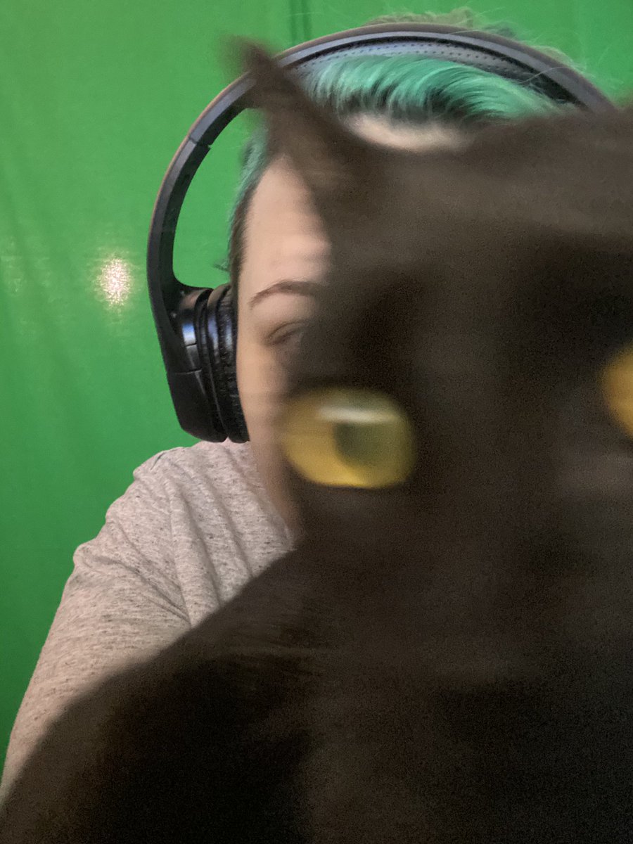 wisperii's tweet photo. Incase you were ever wondering how to game with a kitten here's a photo demonstration. #gamer #gothkitten #thetailsofcypher https://t.co/9Y8NSVjVre