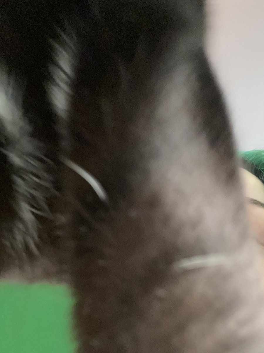 wisperii's tweet photo. Incase you were ever wondering how to game with a kitten here's a photo demonstration. #gamer #gothkitten #thetailsofcypher https://t.co/9Y8NSVjVre