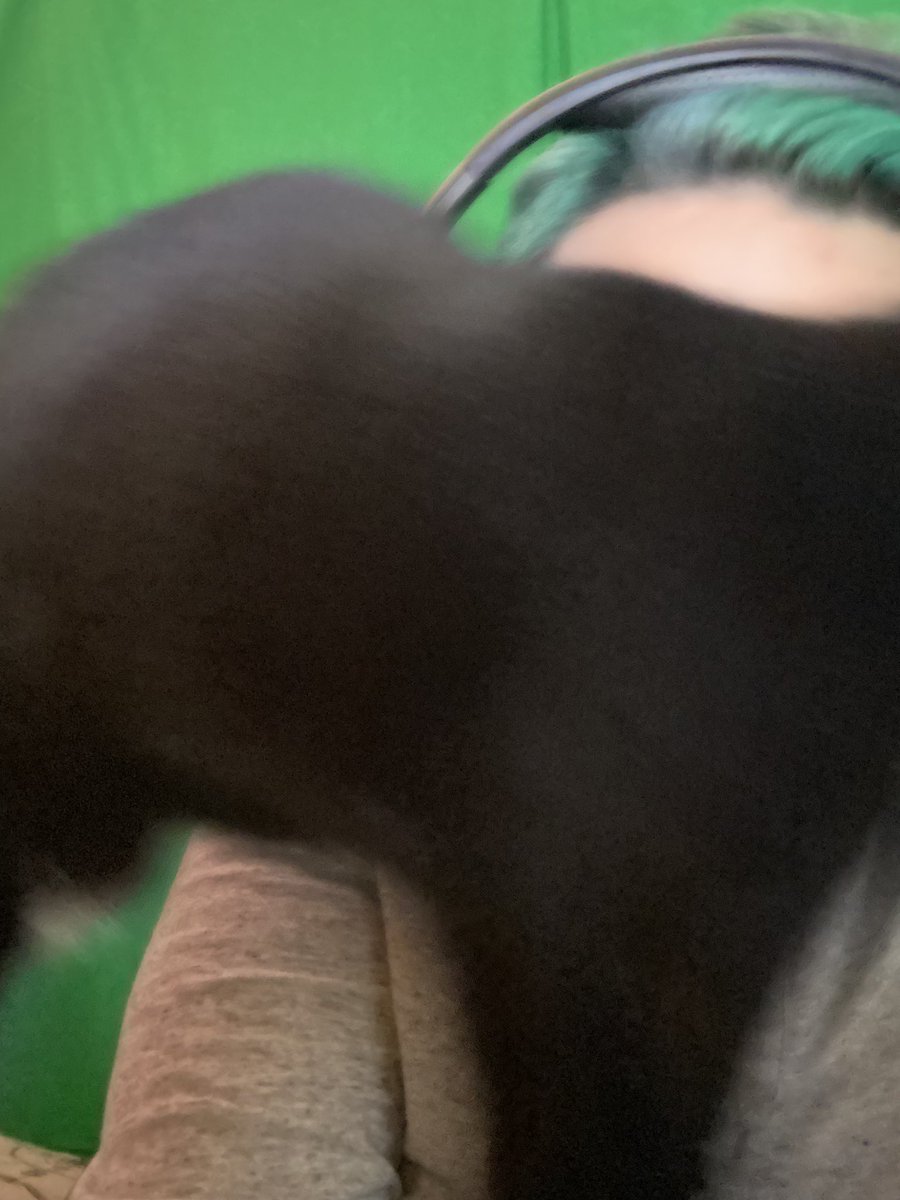 wisperii's tweet photo. Incase you were ever wondering how to game with a kitten here's a photo demonstration. #gamer #gothkitten #thetailsofcypher https://t.co/9Y8NSVjVre