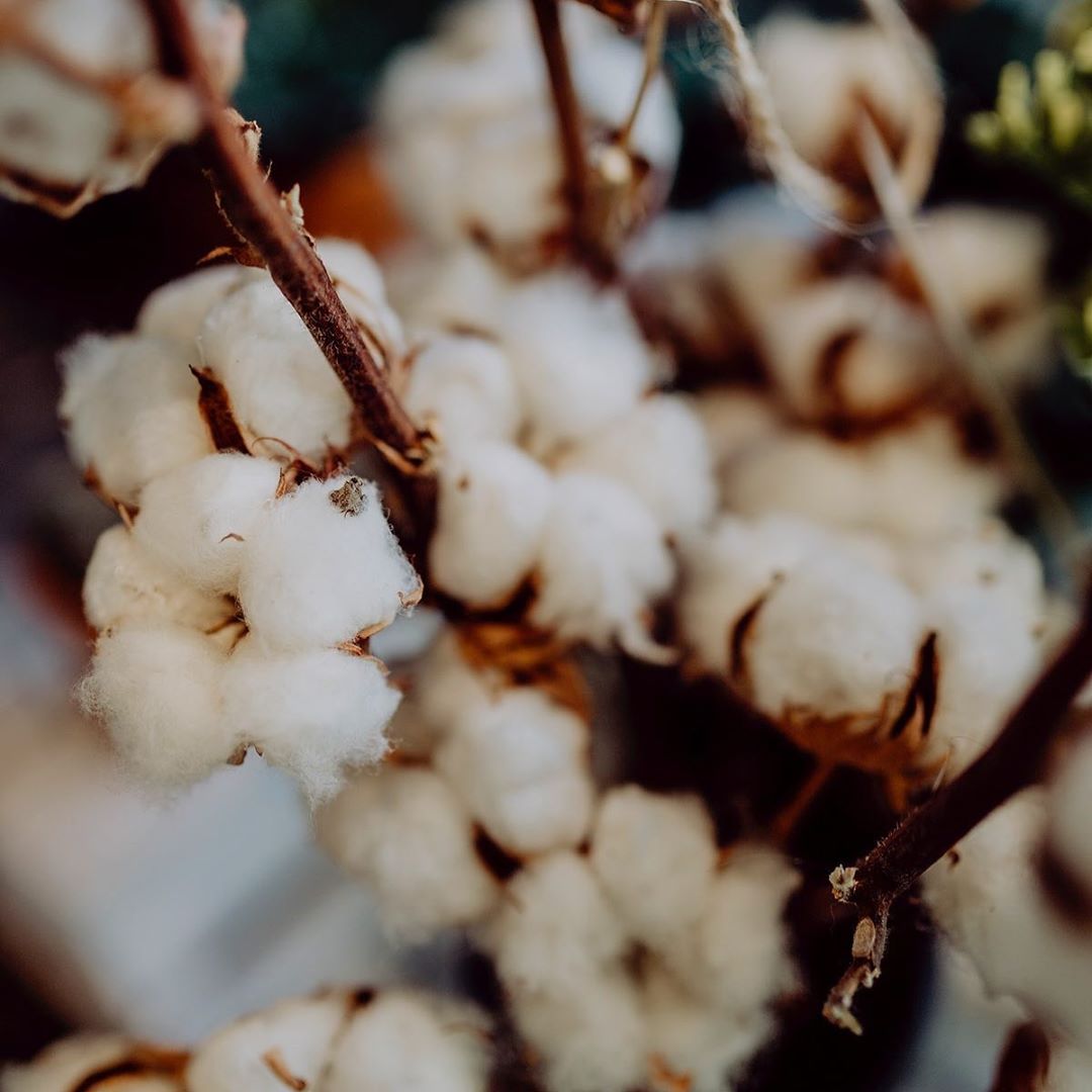 Day 3 #LATextile: Mar 6 | 9am-1:30pm | Multi-session Roundtable Series by Global Organic Textile Standard (GOTS) feat. discussions &amp; panelists gathered to give insights on legal label claims for organic textile products &amp; Sustainable Development Goals.🔗 bit.ly/39OsJA2