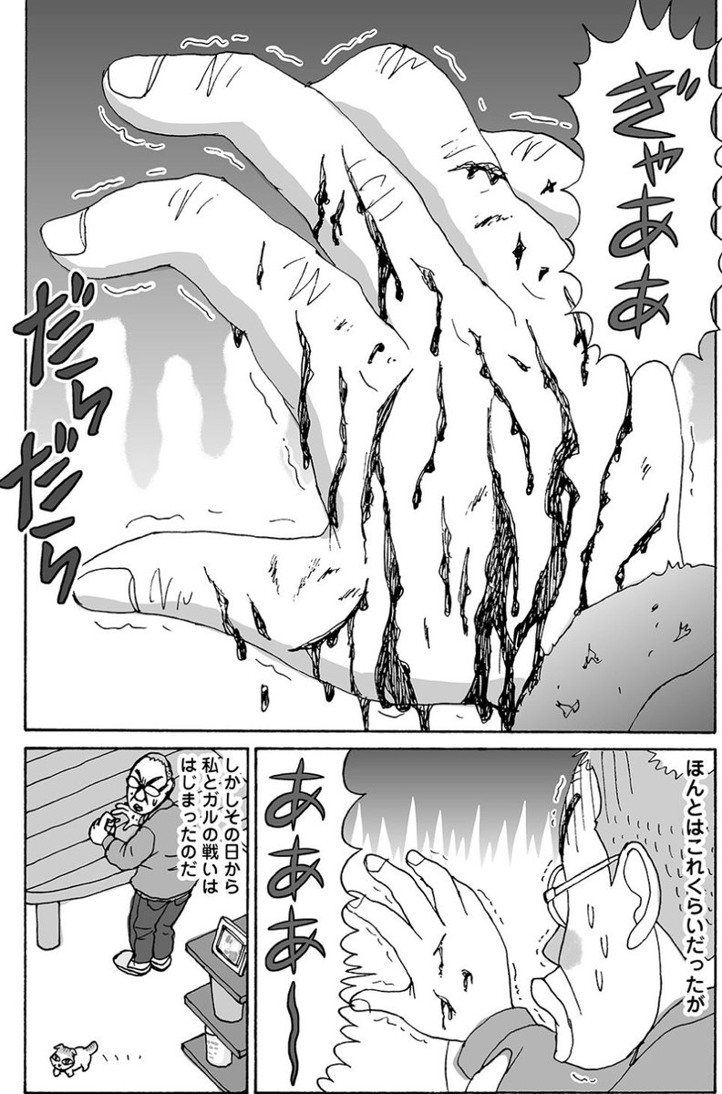 猫の日にちなんで…
\いがらしさん家の愛猫「ガル」初公開/

ガルとの毎日を描いたエッセイ漫画『お猫見2 ガルが来た』まんがくらぶにて隔月連載中です???

#猫の日 #お猫見 #いがらしみきお 