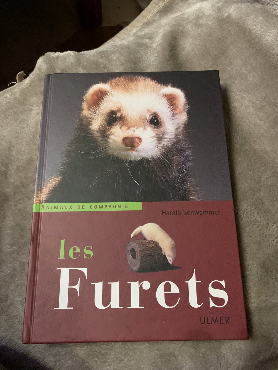 formarie2's tweet photo. 4,90€ guide complet sur les furets 
jamais lu. 

https://t.co/GIB7jyWkG2

#alainmarie77 
#alainmarie77livre 

#furet #furets #livre #livrefuret #animauxdecompagnie #furetscompagnie https://t.co/8aW8xEXAZW