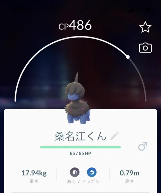 お仕事がんばります。 