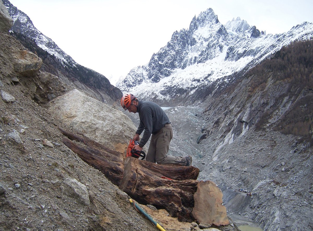 subfossilguy's tweet image. Still at #merdeglace for Day 6 of #7daysoffieldwork to celebrate 10 years of sampling and ~400 subfossil wood samples retrieved from this single moraine ! 🌲💍
#treerings #fieldwork #chamonix